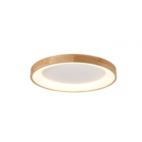 silvam-65-top.jpg