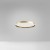 acelia40-oro-1200x1200.jpg