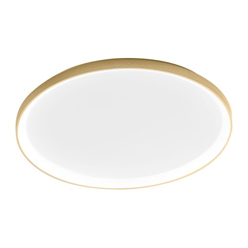 KRIZIA_PX_oro-1200x1200.jpg