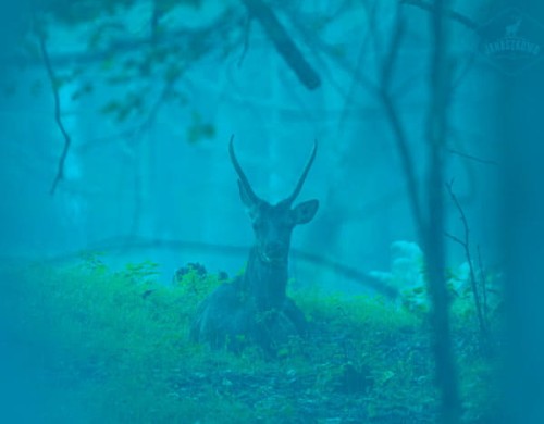 blue.jpg