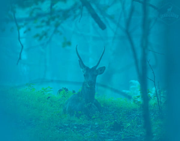 blue.jpg